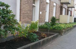 Wohnung mieten in 48565 Steinfurt, Zentral gelegene ideale Studentenwohnung