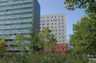 Wohnung mieten in Theodor-Storm-Straße, 03050 Sachsendorf, Geräumige Familienwohnung mit schönem Ausblick