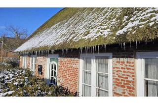Haus kaufen in 25377 Kollmar, *Leben wo andere Urlaub machen* *Knusperhäuschen unter Reet direkt am Deich*