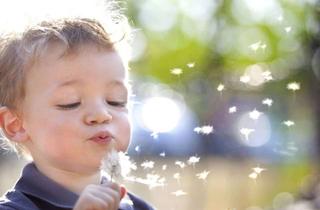 Doppelhaushälfte kaufen in 41849 Wassenberg, Ihr Traumhaus in Wassenberg: Doppelhaushälfte nach Ihren Wünschen!