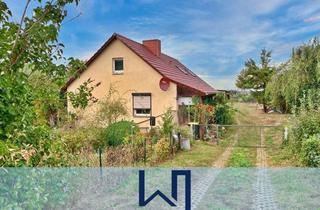 Einfamilienhaus kaufen in 17033 Stadtgebiet West, Skyline von Neubrandenburg: Einfamilienhaus mit großem Grundstück in zentraler Lage