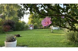 Haus kaufen in 03044 Schmellwitz, Großes Townhouse + Garten mitten in der Stadt