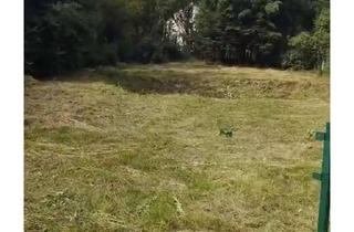 Grundstück zu kaufen in 80997 Allach-Untermenzing, Baugrund für EFH mit Vorbescheid ruhige Lage Allach