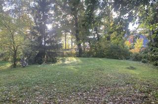 Grundstück zu kaufen in 16775 Löwenberger Land, schönes Grundstück zum kleinen Preis