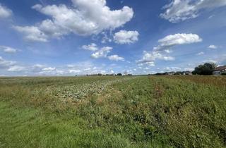 Grundstück zu kaufen in Lange Äcker, 73770 Denkendorf, Kaum noch zu finden: Unbebauter Bauplatz (DHH) in Denkendorf