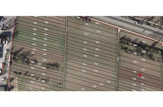 Grundstück zu kaufen in 71254 Ditzingen, *Grundstück in 71254 Stuttgart Ditzingen, Landwirtschaftlicher betrieb - Ackerland*