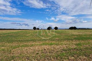 Immobilie kaufen in 52391 Vettweiß, Ackerlandparzelle in Vettweiß