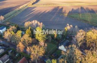 Grundstück zu kaufen in 16348 Wandlitz, Natur, Ruhe und Weite für Ihre Familie – Baugrundstück mit Bungalow in Feldrandlage von Stolzenhagen