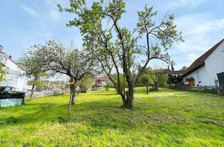 Doppelhaushälfte kaufen in 75395 Ostelsheim, Ostelsheim - Eine Freude für die junge Familie: Wohnen mit herrlichem Sonnengarten Moderne DHH in Ostelsheim