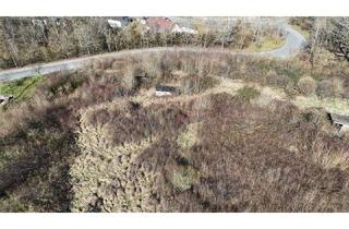 Haus kaufen in Liebfrauenberg 41, 55590 Meisenheim, Meisenheim - Großes Grundstück am Gesundheitszentrum Glantal in Meisenheim