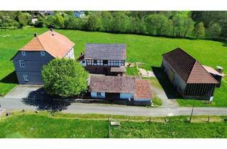 Haus kaufen in 34537 Bad Wildungen, Bad Wildungen - Historisches Anwesen in Bad Wildungen-Bergfreiheit