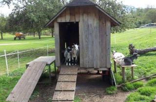 Wohnung kaufen in Bundesstraße 27, 79199 Kirchzarten, Kirchzarten - Großzügige Erdgeschoß-Wohnung KFW-Förderung zu 1,03% Zinsen möglich