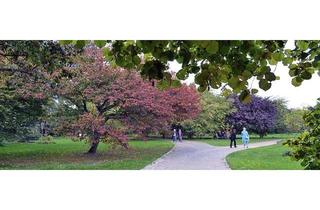 Wohnung kaufen in Prinzregentenstraße, 10715 Berlin, Berlin - vorliegendes Kaufangebot 659 tsd. ab einem Angebot von 670 tsd. sagen wir ja !!!