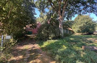 Haus kaufen in 49549 Ladbergen, Ladbergen - Resthof in guter Lage mit Dauergrünland, auch teilbar