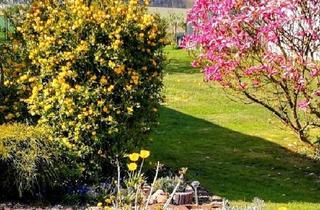 Doppelhaushälfte kaufen in 19395 Plau, Plau am See - Ihr Traumhaus Nähe Plau am See
