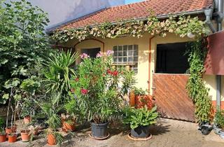 Haus kaufen in 55234 Bechtolsheim, Bechtolsheim - Hofreite mit Pferdeboxen