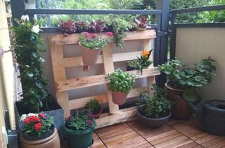 Wohnung mieten in Leuthener Str. 17, 03048 Spremberger Vorstadt, Single gesucht! Kleine gemütlich 2-R-WHG im sanierten Altbau mit Balkon