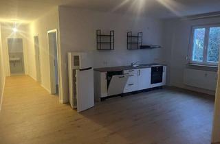 Wohnung mieten in Rheinstraße 214, 55218 Ingelheim, Frisch renovierte 3 Zimmerwohnung mit Wohnküche