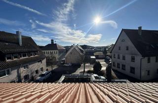 Wohnung mieten in 71292 Friolzheim, 2-Zimmer Dachgeschosswohnung in Friolzheim mit Balkon