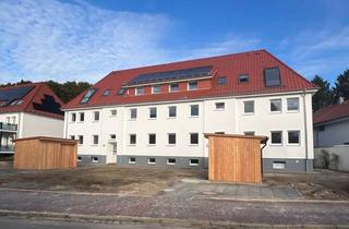 Wohnung mieten in Eike-Von-Repkow-Str. 34, 26121 Bürgerfelde, Frisch saniert! 2-Zimmer-Wohnung im EG mit Balkon im Haareneschviertel ab 01.02.2026