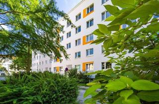 Wohnung mieten in Enderstr. 66, 01277 Tolkewitz/Seidnitz-Nord, Schon gesehen? Hübsche 2-Raum-Wohnung ab Februar 2026 zu vermieten