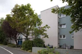 Wohnung mieten in Schneiderstraße, 65931 Sindlingen, Singles aufgepasst: Kleines Appartment mit Terasse im Erdgeschoss