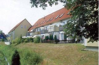 Wohnung mieten in Alte Mühle, 39167 Irxleben, geräumige 1-Zimmer Wohnung in Irxleben
