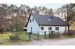 Haus kaufen in 14822 Borkwalde, Raumwunder am Waldrand - viel Platz, viel Ruhe, viel Möglichkeiten