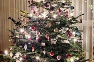 Haus kaufen in 09337 Hohenstein-Ernstthal, GENIESSEN SIE GEMÜTLICHE FAMILIENWEIHNACHTEN 2026 IN IHREM EIGENEN HAUS1 TEL. 01714863595