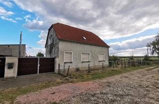 Einfamilienhaus kaufen in 06773 Gräfenhainichen, Charmantes Einfamilienhaus mit großem Grundstück und viel Gestaltungspotenzial in Kemberg