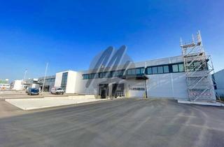Büro zu mieten in 68163 Lindenhof, KEINE PROVISION ✓ NEUBAU / ERSTBEZUG ✓ WGK-3 ✓ Lager (2.900 m²) & Büro (600 m²)