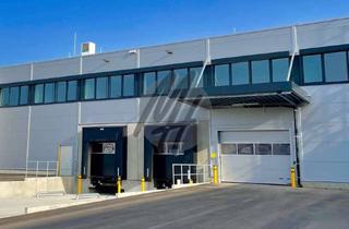 Büro zu mieten in 69190 Walldorf, KEINE PROVISION ✓ NEUBAU / ERSTBEZUG ✓ WGK-3 ✓ Lager (1.500 m²) & Büro (400 m²)