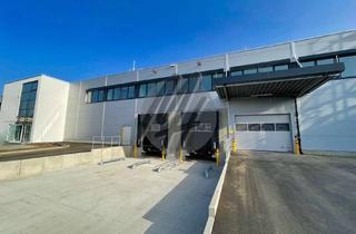 Büro zu mieten in 68163 Lindenhof, KEINE PROVISION ✓ NEUBAU / ERSTBEZUG ✓ WGK-3 ✓ Lager (1.500 m²) & Büro (400 m²)