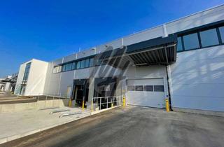 Büro zu mieten in 69126 Rohrbach, KEINE PROVISION ✓ NEUBAU / ERSTBEZUG ✓ WGK-3 ✓ Lager (1.500 m²) & Büro (400 m²)