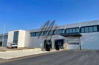 Büro zu mieten in 69190 Walldorf, KEINE PROVISION ✓ NEUBAU / ERSTBEZUG ✓ WGK-3 ✓ Lager (3.500 m²) & Büro (700 m²)