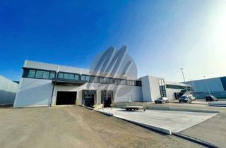 Büro zu mieten in 68163 Neuostheim, KEINE PROVISION ✓ NEUBAU / ERSTBEZUG ✓ WGK-3 ✓ Lager (5.300 m²) & Büro (1.500 m²)