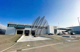 Büro zu mieten in 69190 Walldorf, KEINE PROVISION ✓ NEUBAU / ERSTBEZUG ✓ WGK-3 ✓ Lager (5.300 m²) & Büro (1.500 m²)