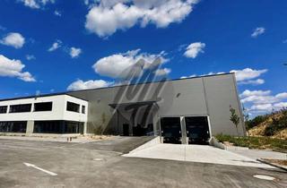 Büro zu mieten in 69126 Rohrbach, KEINE PROVISION ✓ NEUBAU / ERSTBEZUG ✓ WGK-3 ✓ Lager (1.100 m²) & Büro (300 m²)