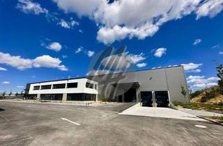 Büro zu mieten in 69190 Walldorf, KEINE PROVISION ✓ NEUBAU / ERSTBEZUG ✓ WGK-3 ✓ Lager (1.100 m²) & Büro (300 m²)