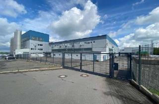 Gewerbeimmobilie mieten in Schlosserstr. 13-15, 51789 Lindlar, ca. 585 qm - ca. 900 Palettenstellplätze. Kalthalle-Hochregallager möglich, Ind.-Park Klause