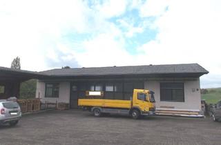 Gewerbeimmobilie kaufen in 63679 Schotten, Flexible und große Werkhalle in Schotten-Einartshausen