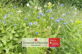 Grundstück zu kaufen in 63679 Schotten, Randlage zum Liebhaben - Baugrundstück in Schotten-Busenborn