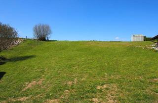 Grundstück zu kaufen in 84494 Neumarkt-Sankt Veit, Bauplatz und Landwirtschaftsfläche in einmaliger Lage nähe Mühldorf