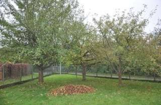 Grundstück zu kaufen in 65795 Hattersheim, Grundstück mit Altbestand in guter Lage von Hattersheim am Main