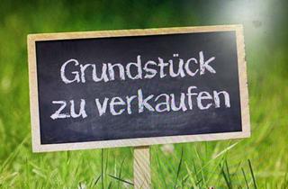 Grundstück zu kaufen in 13509 Wittenau, Baugrundstück für Doppelhaushälfte in Hermsdorf