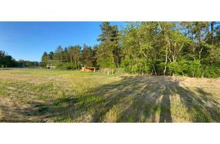 Grundstück zu kaufen in Lindenstraße 15, 15320 Neuhardenberg, Einzigartiges Wohn- und Gewerbegebiet vor den Toren Berlins