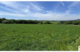 Grundstück zu kaufen in 53567 Buchholz, Traumhaftes Grundstück mit Fernblick in Toplage von Buchholz