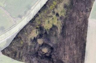 Grundstück zu kaufen in 46282 Dorsten, Wiese mit Waldstück zur landwirtschaftlichen Nutzung