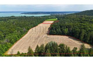 Immobilie kaufen in 82211 Herrsching, VERKAUF: Eine gute Größe - Ackerfläche mit Zukunftspotenzial – gut erreichbar und werthaltig!