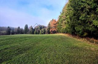 Immobilie kaufen in 82346 Andechs, VERKAUF: Grünland mit Waldgürtel in Andechs